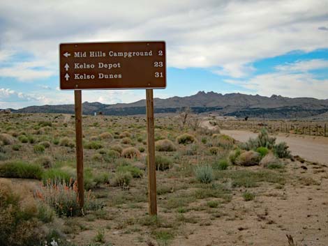 Black Canyon Road