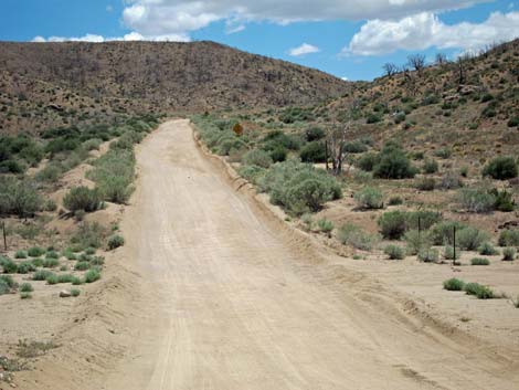 Black Canyon Road