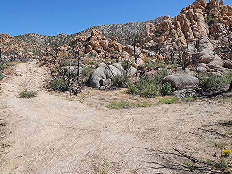 Caruthers Canyon