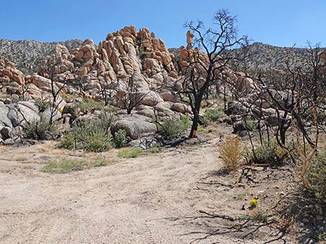 Caruthers Canyon