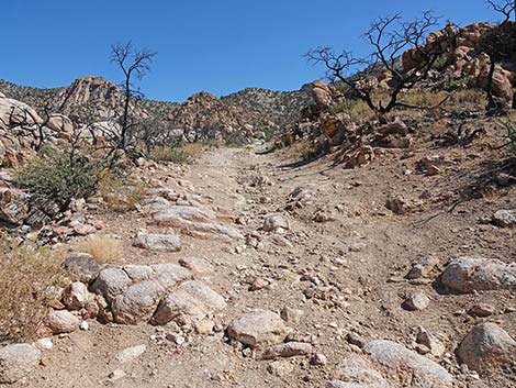 Caruthers Canyon Road