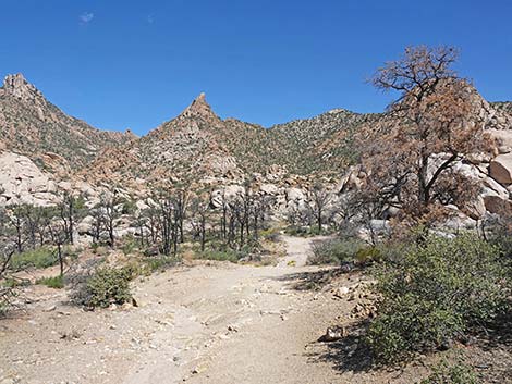 Caruthers Canyon Road