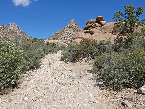 Caruthers Canyon Road