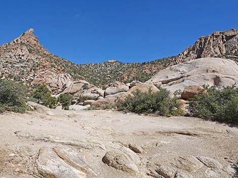 Caruthers Canyon Road