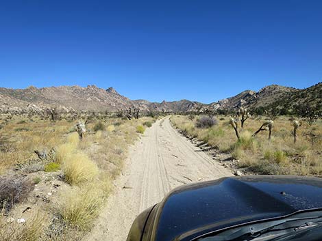 Caruthers Canyon Road