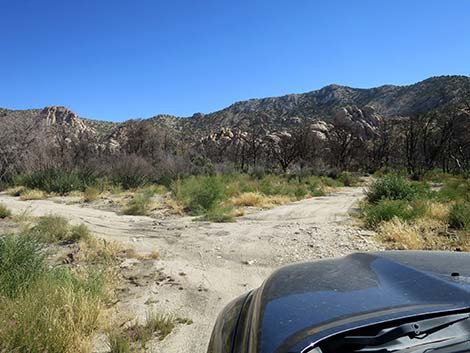 Caruthers Canyon Road