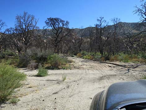 Caruthers Canyon Road