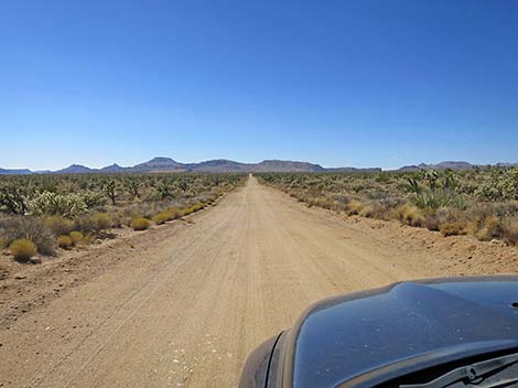 Cedar Canyon Road