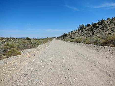 Ivanpah Road