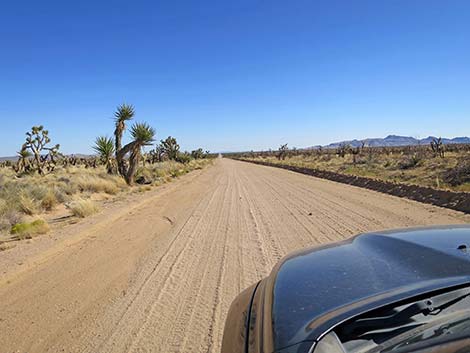 Ivanpah Road