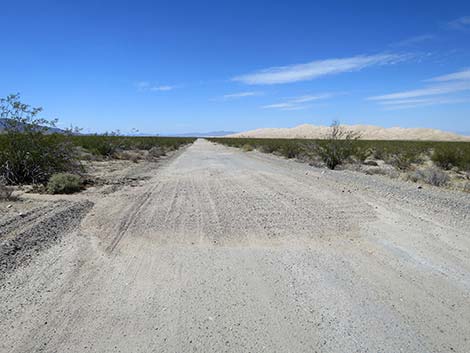 Kelso Dunes Road