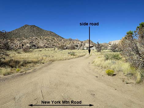 New York Mountain Road