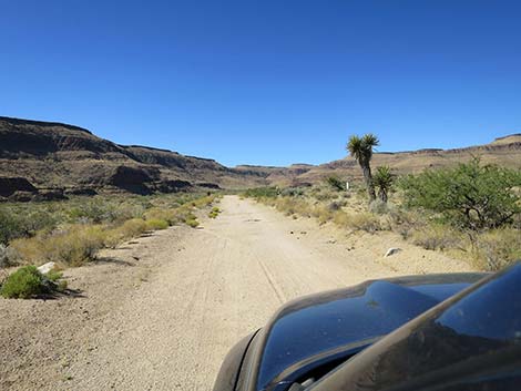 Wild Horse Road