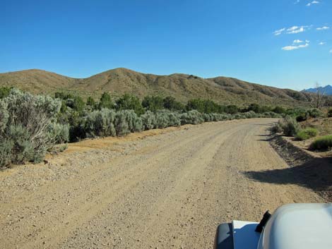 Wild Horse Road