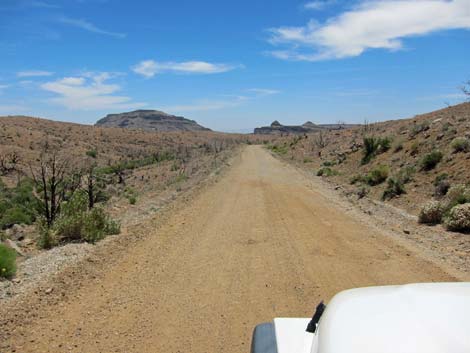 Wild Horse Road