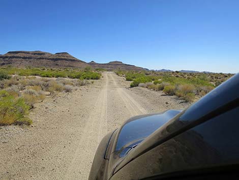 Wild Horse Road