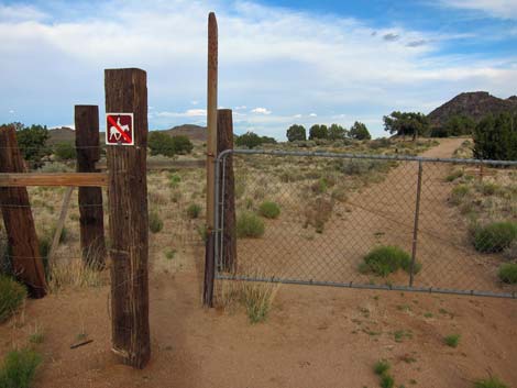 Rock Spring Loop Trail