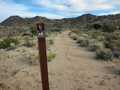 Rock Spring Loop Trail