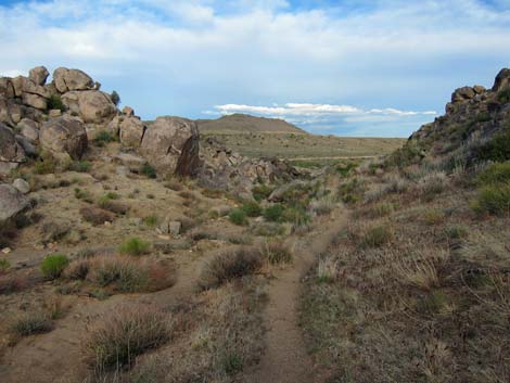 Rock Spring Loop Trail