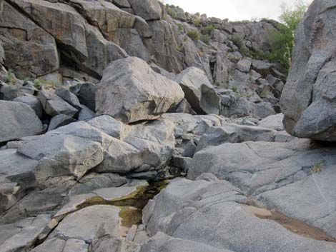 Rock Spring Loop Trail