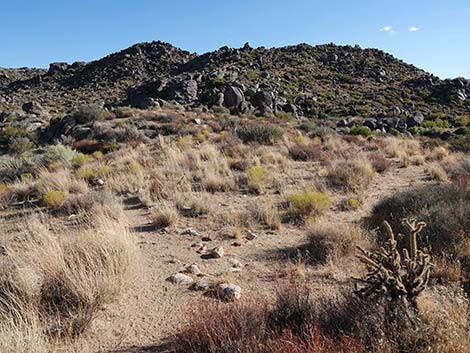 Rock Spring Loop Trail