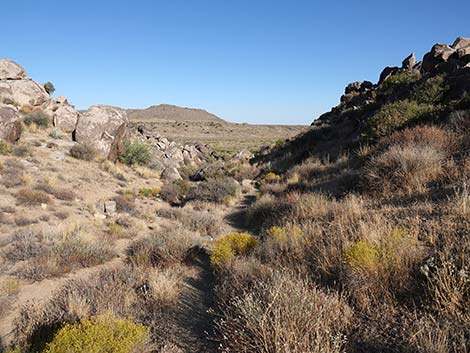 Rock Spring Loop Trail