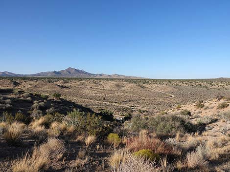 Rock Spring Loop Trail