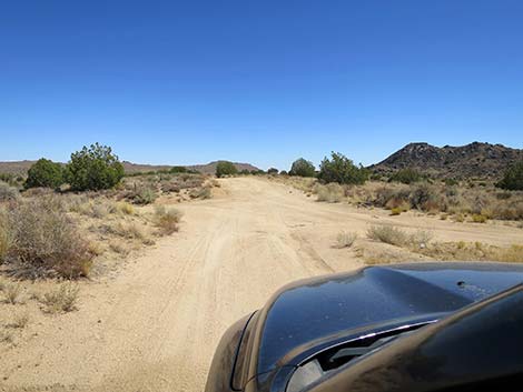 Rock Spring Loop Trail