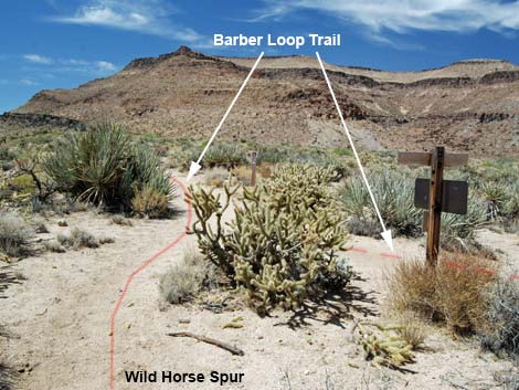 Wild Horse Spur Trail