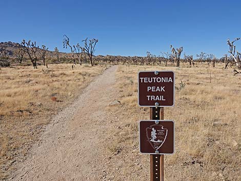 Teutonia Peak Trail