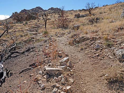 Teutonia Peak Trail