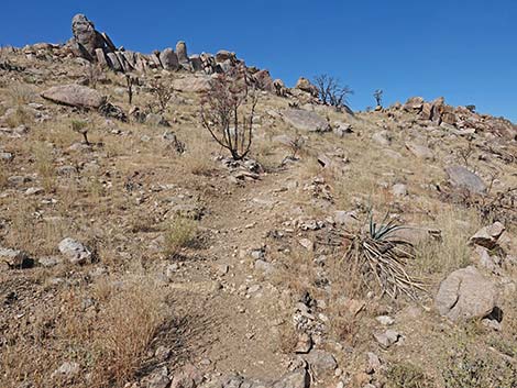 Teutonia Peak Trail