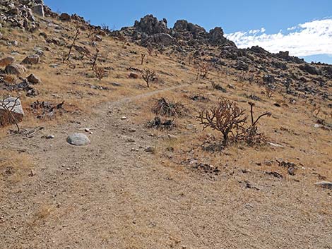 Teutonia Peak Trail