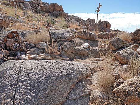 Teutonia Peak Trail