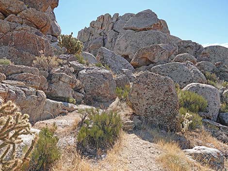 Teutonia Peak Trail