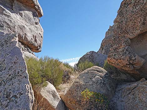 Teutonia Peak Trail