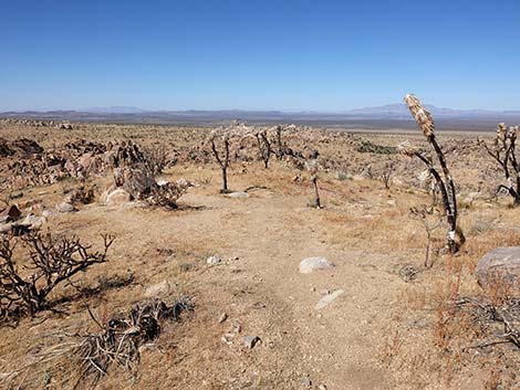 Teutonia Peak