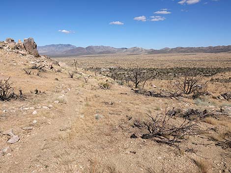 Teutonia Peak