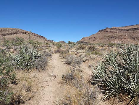 Wild Horse Trailhead