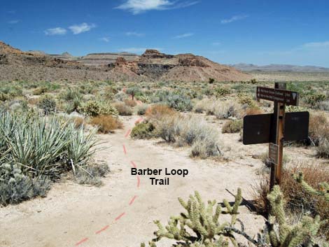 Wild Horse Spur Trail