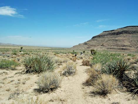 Wild Horse Spur Trail