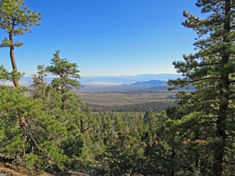 Bonanza Peak Trail