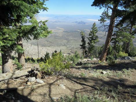 Bonanza Peak Trail