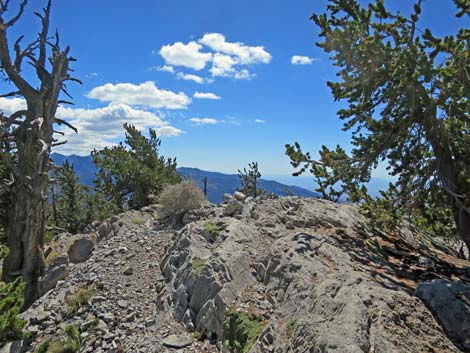 Bonanza Peak Trail