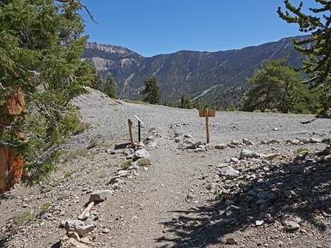 Bonanza Trail