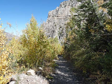 Cathedral Rock Trail