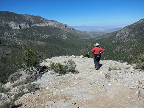 Cathedral Rock Trail