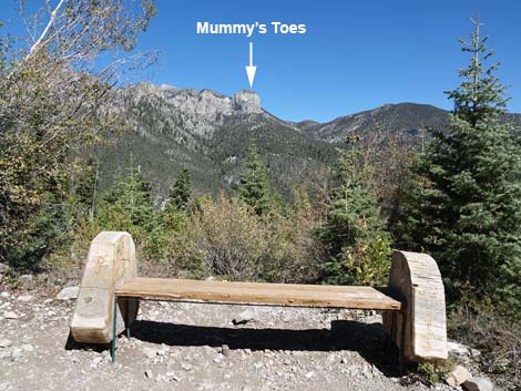 Cathedral Rock Trail