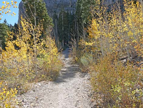 Cathedral Rock Trail