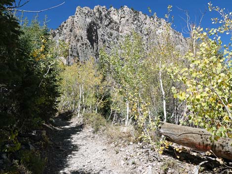 Cathedral Rock Trail